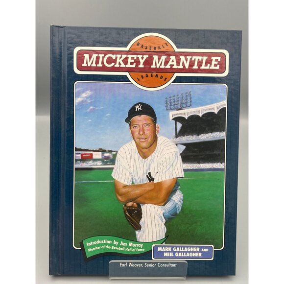 Baseball Legends Lot of 30 Hardcover Books (Mays, Ruth, Dimaggio, Robinson) HOF - Picture 7 of 16